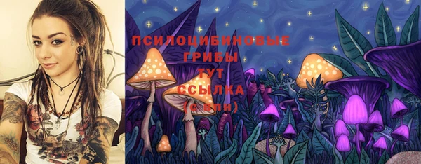 мдпв Вязьма